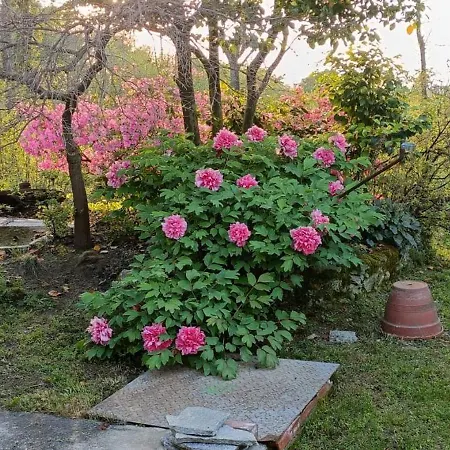 Hébergement de vacances La Ginestra