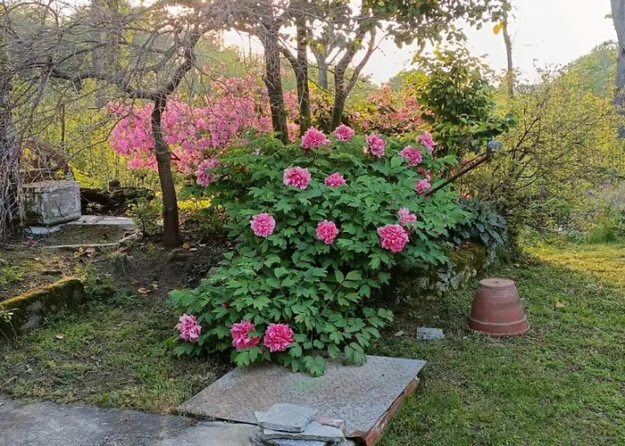 Holiday home La Ginestra